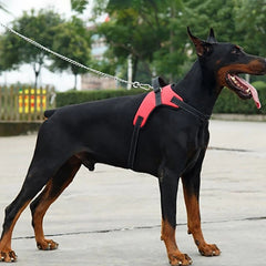 Adjustable Dog Harnesswith Reflective Leash Set