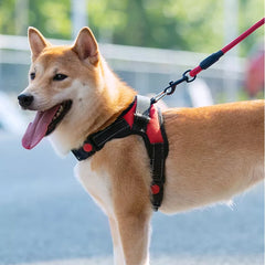 Adjustable Dog Harnesswith Reflective Leash Set