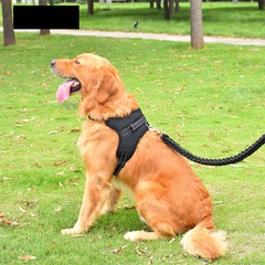 Adjustable Dog Harnesswith Reflective Leash Set