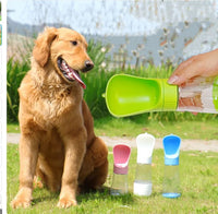 Pet Essentials
