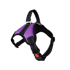 Adjustable Dog Harnesswith Reflective Leash Set
